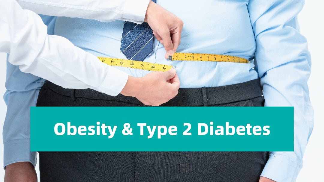 The Connection Between Obesity and Type 2 Diabetes - SIBIONICS